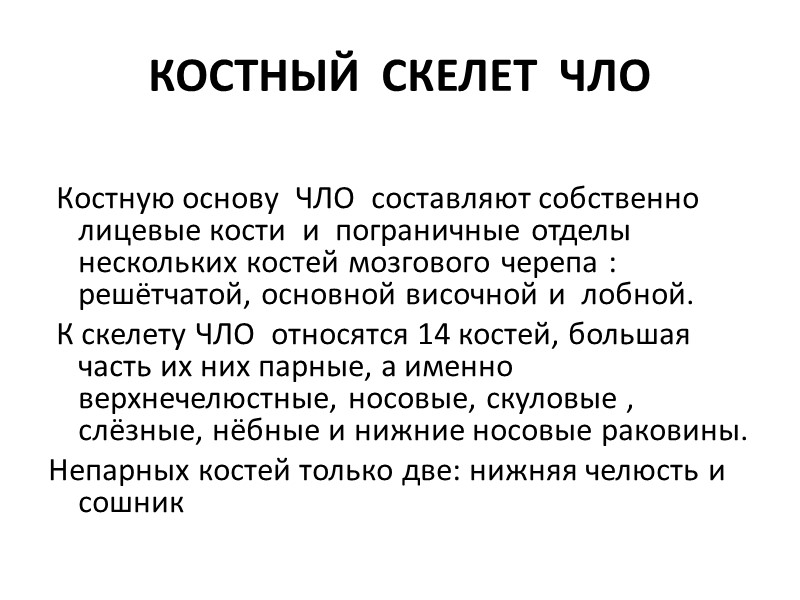 КОСТНЫЙ  СКЕЛЕТ  ЧЛО    Костную основу  ЧЛО  составляют